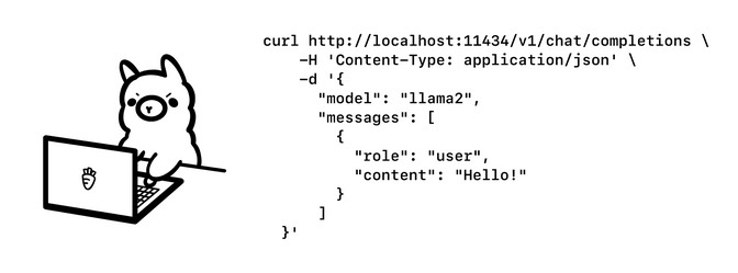 Ollama with code image